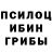 Галлюциногенные грибы Psilocybe Blacktweetz v.2