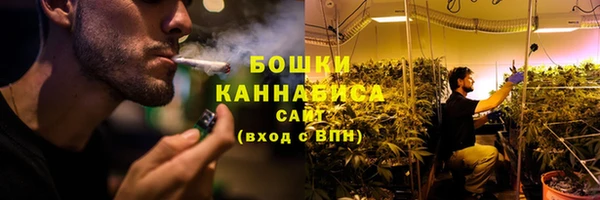 прущие грибы Бронницы