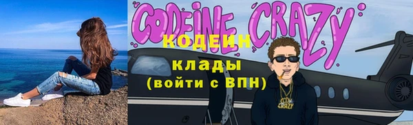 прущие грибы Верея