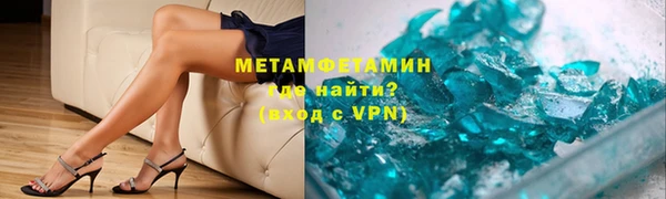 прущие грибы Верея