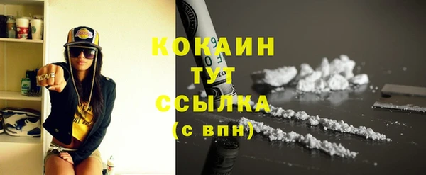 прущие грибы Бронницы