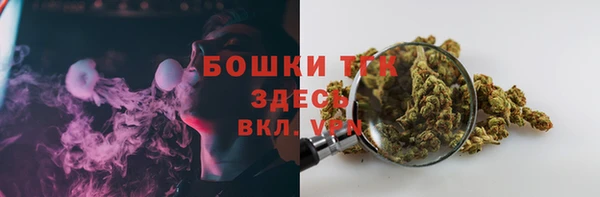 прущие грибы Верея
