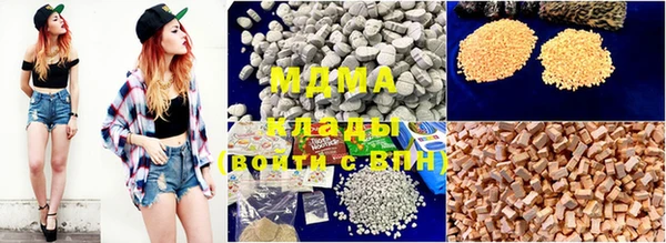 прущие грибы Бронницы