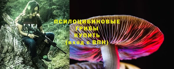 прущие грибы Бронницы