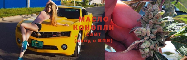 прущие грибы Бронницы
