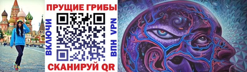 Купить где  Могоча  Псилоцибиновые грибы Magic Shrooms 